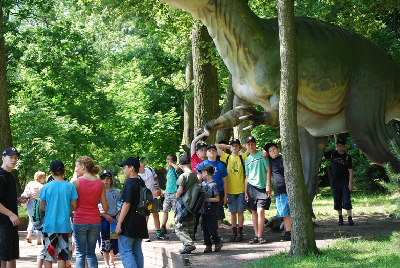 Obóz sportowy - Wiktorowo 2010